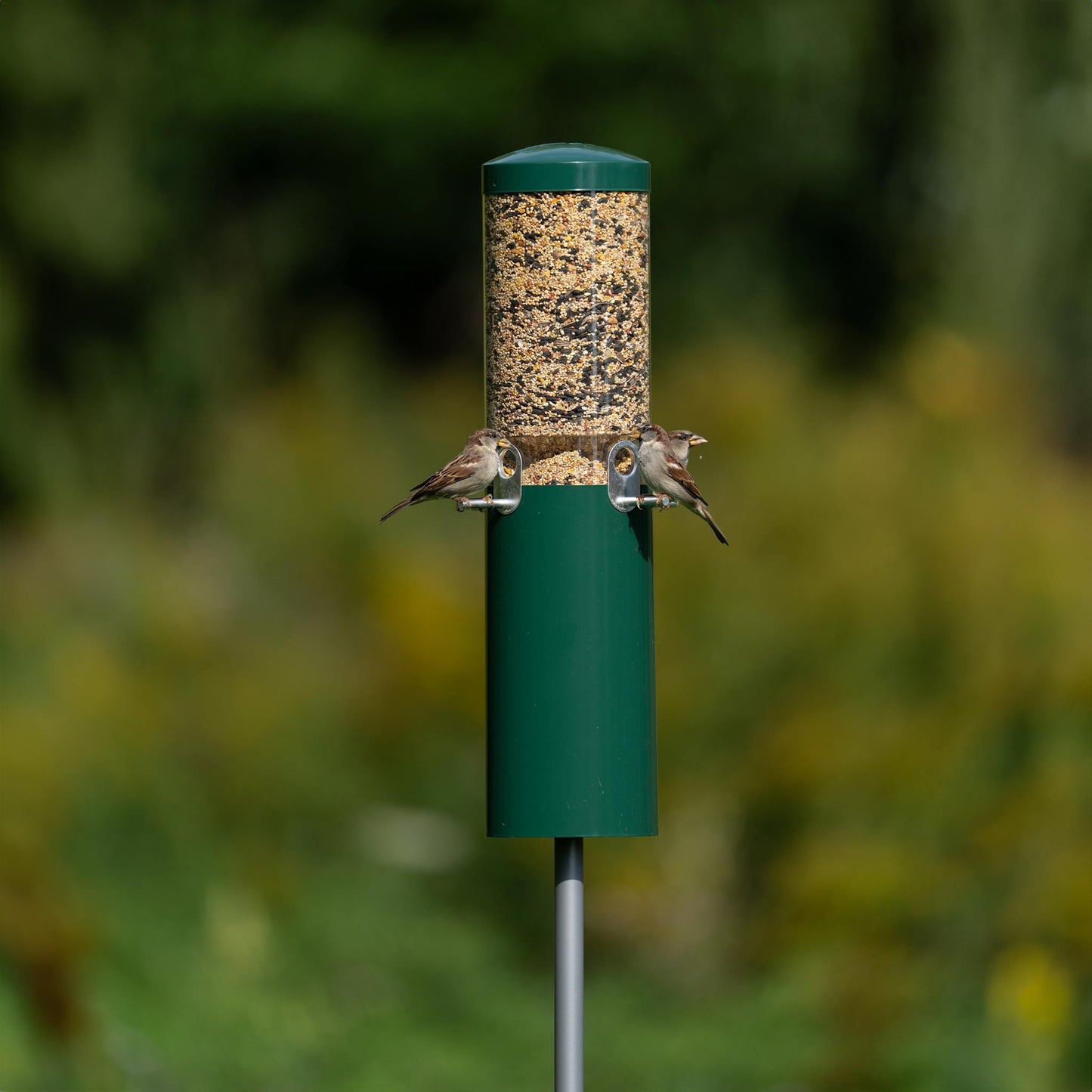 Squirrel Proof Classic Bird Feeder with Pole and Squirrel Baffle