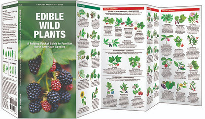 Edible Wild Plants Pocket Guide