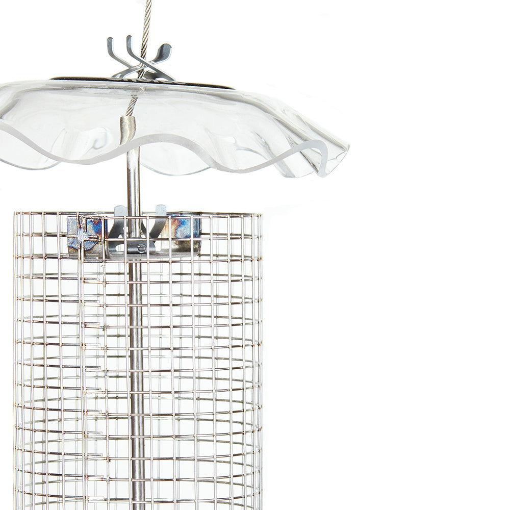 Clear Small Sunflower Seed Forever Feeder with Stainless Steel Screen - Birds Choice