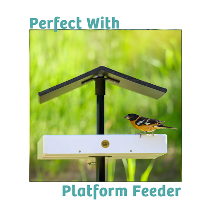 Finch Feast Wild Bird Food - 5 lbs.