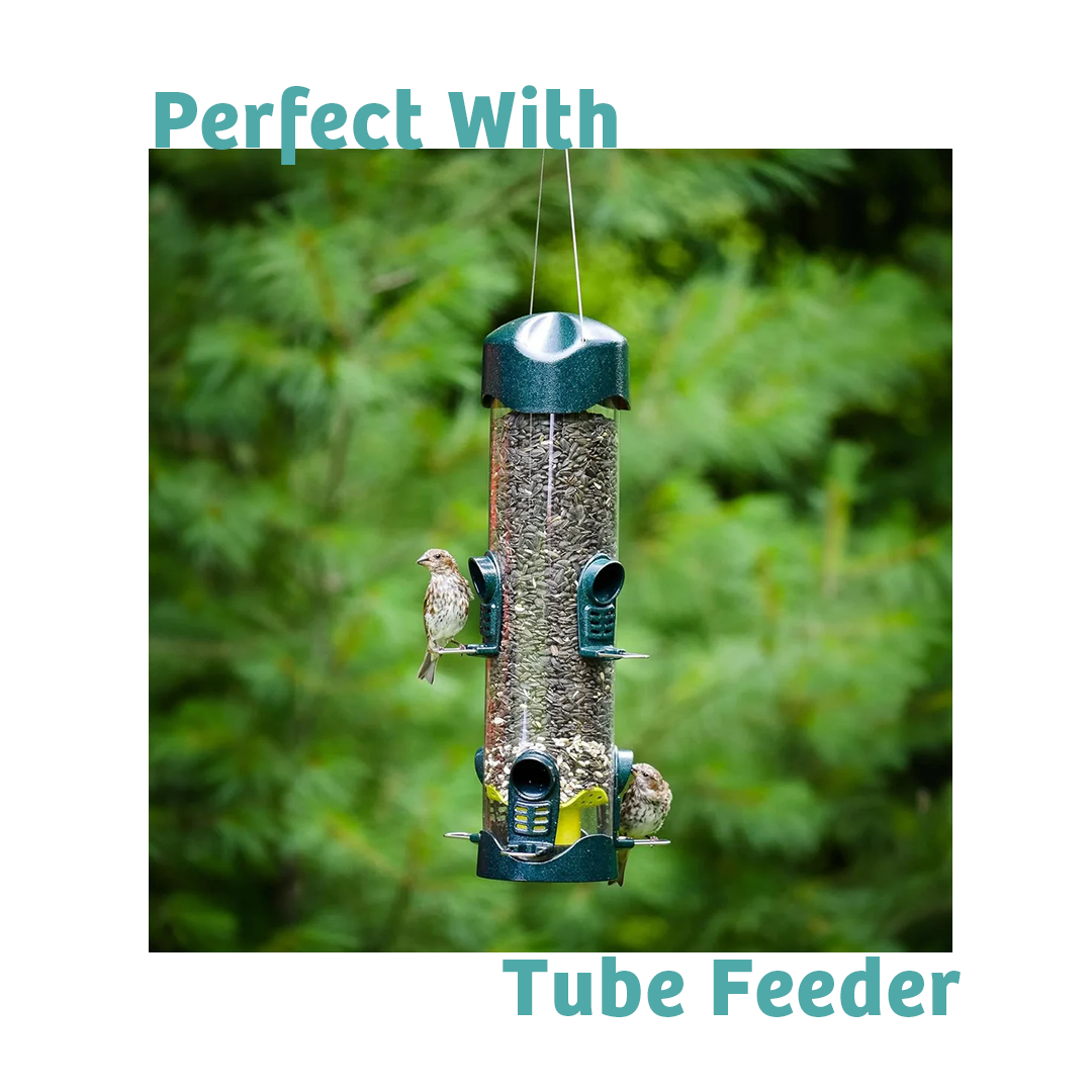 Finch Feast Wild Bird Food - 10 lbs.