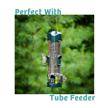 Finch Feast Wild Bird Food - 10 lbs.