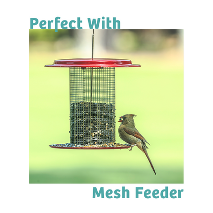 Finch Feast Wild Bird Food - 10 lbs.