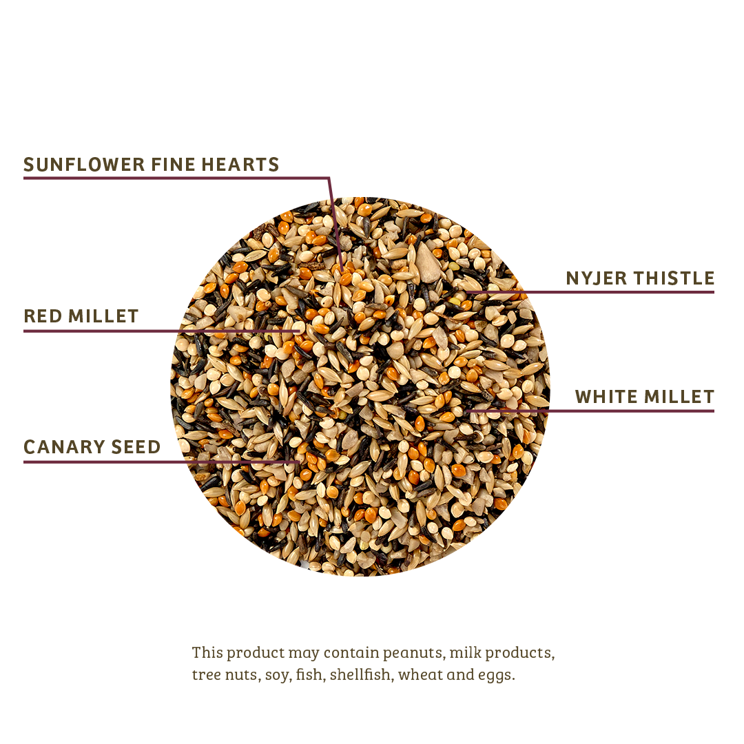 Finch Feast Wild Bird Food - 5 lbs.