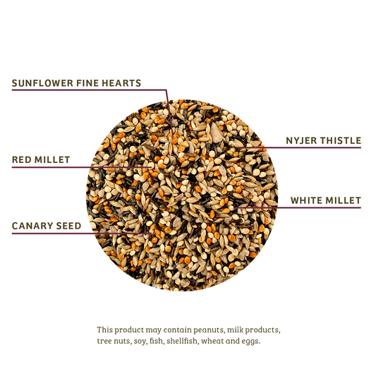 Finch Feast Wild Bird Food - 10 lbs.