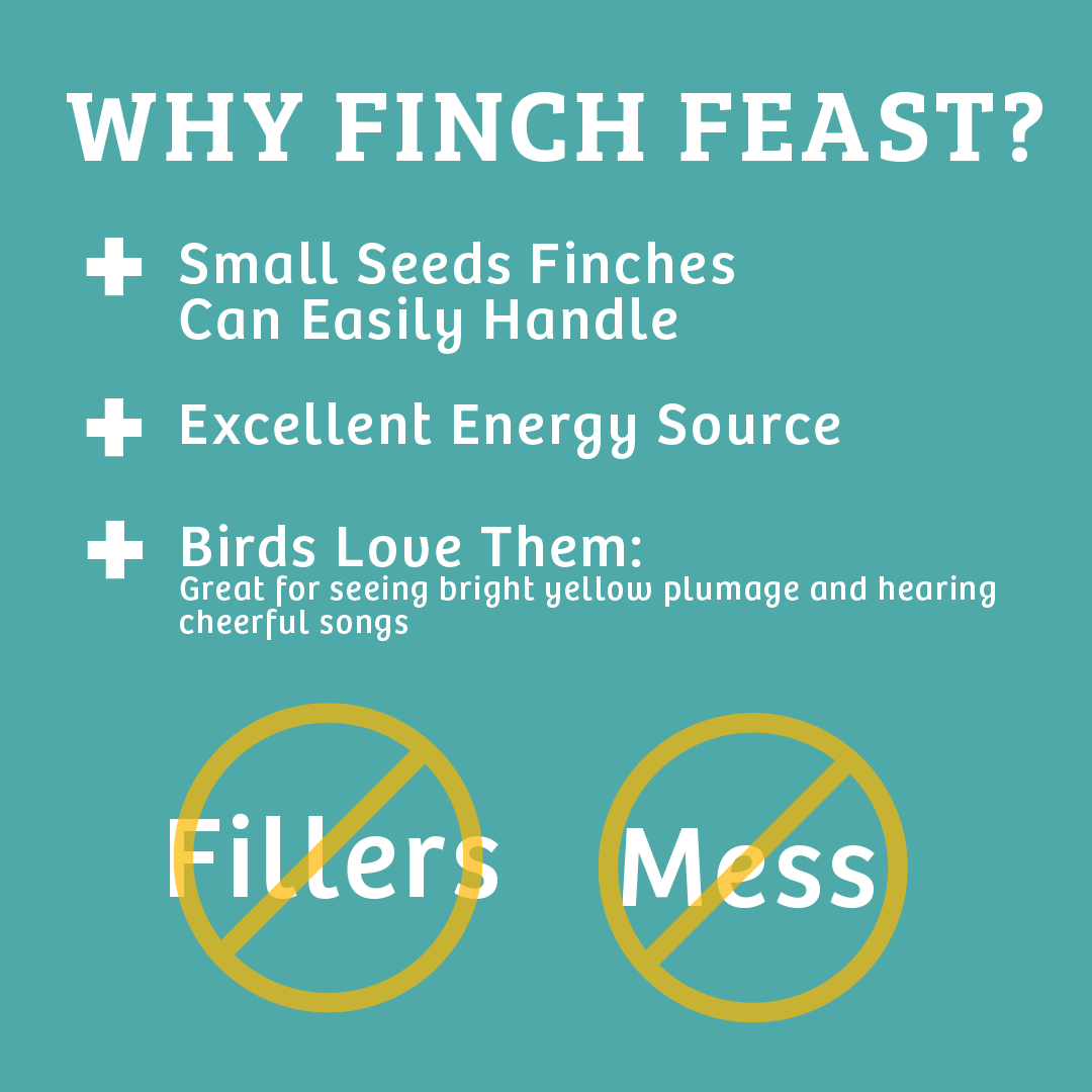 Finch Feast Wild Bird Food - 10 lbs.