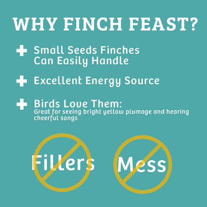 Finch Feast Wild Bird Food - 10 lbs.