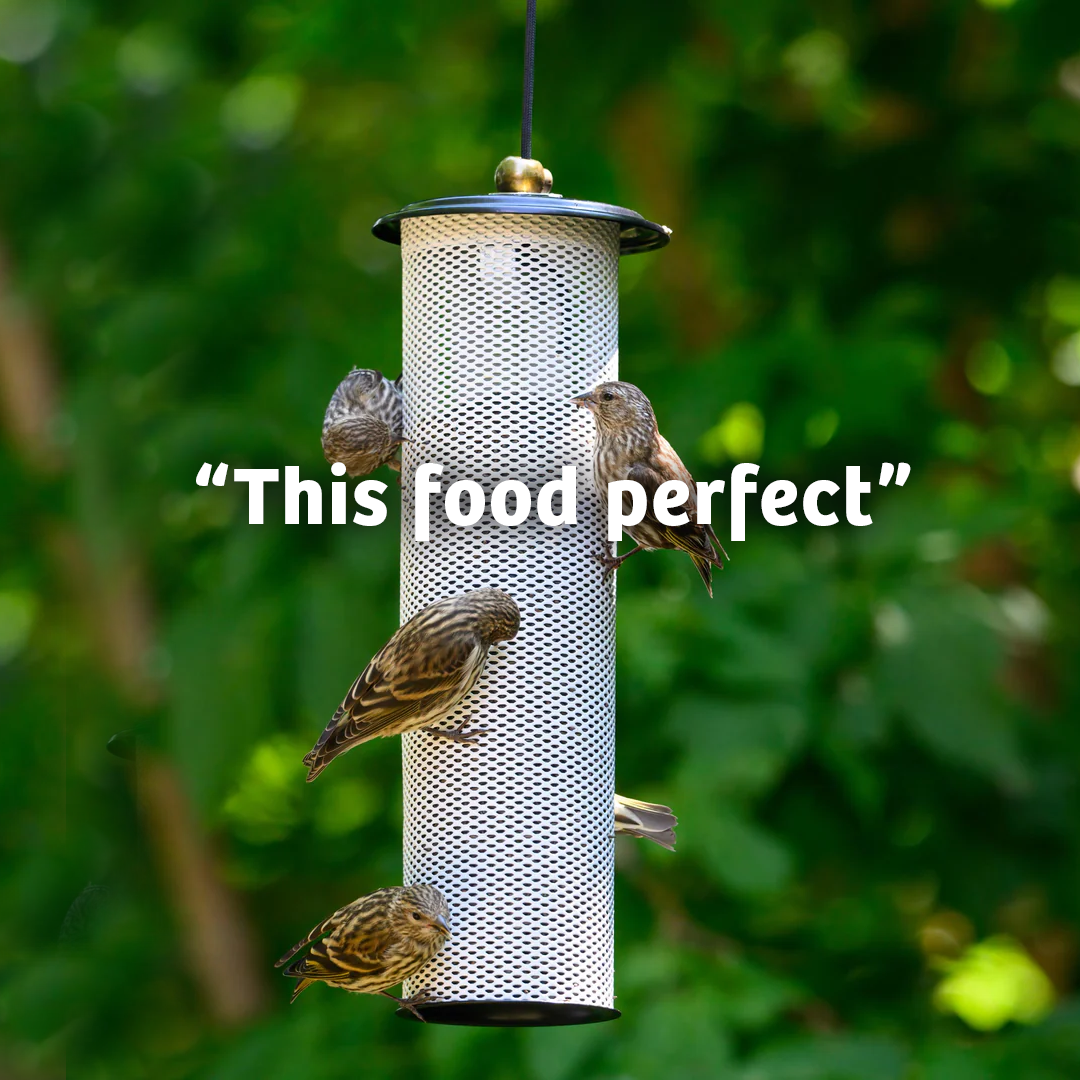 Finch Feast Wild Bird Food - 10 lbs.