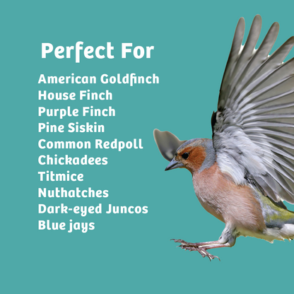 Finch Feast Wild Bird Food - 10 lbs.