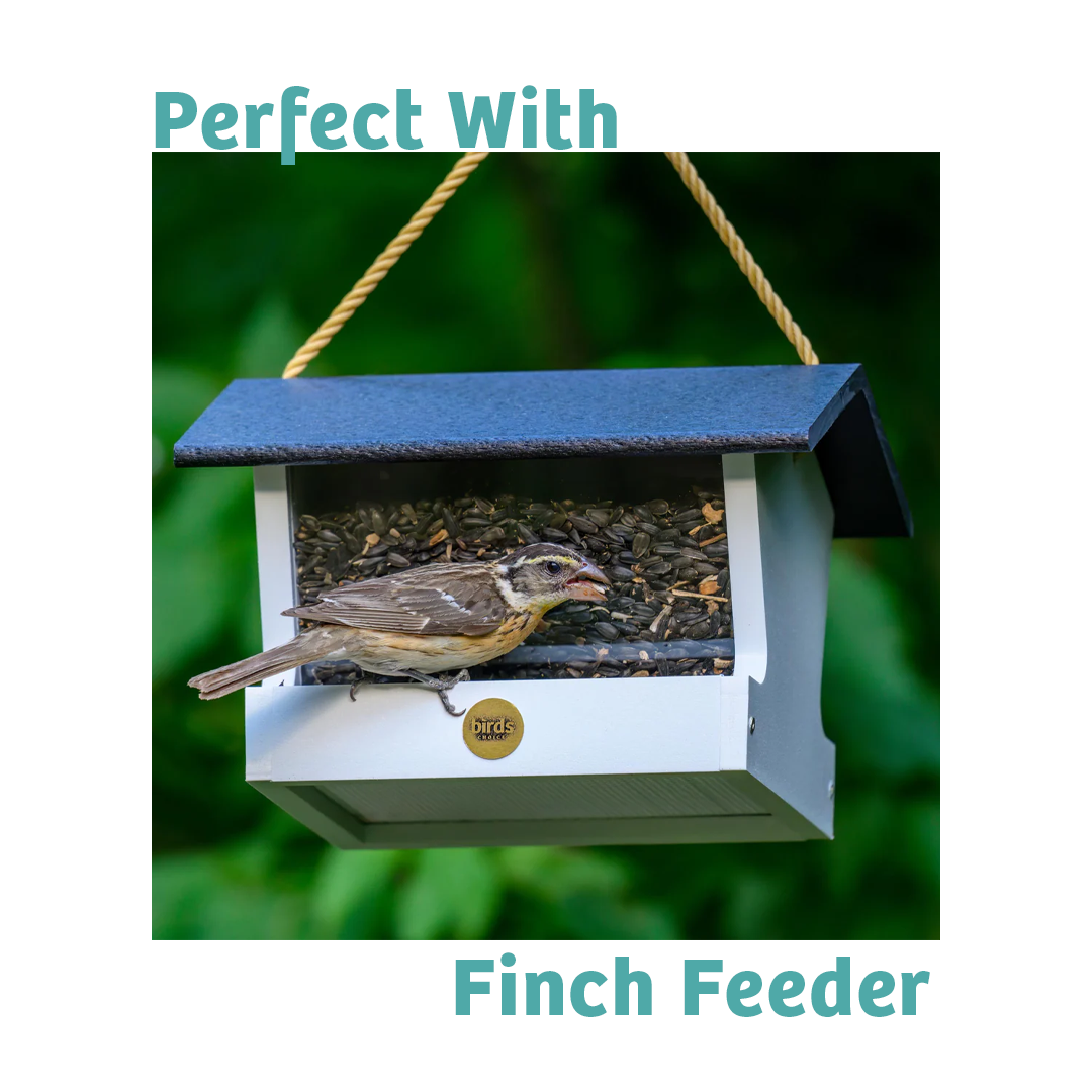 Finch Feast Wild Bird Food - 5 lbs.