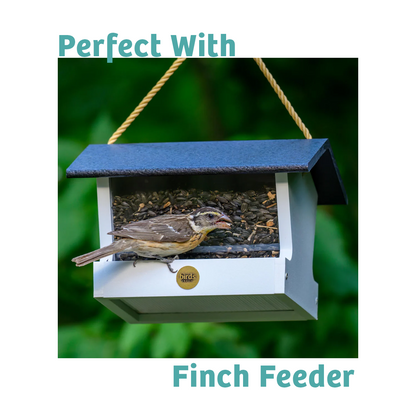 Finch Feast Wild Bird Food - 10 lbs.