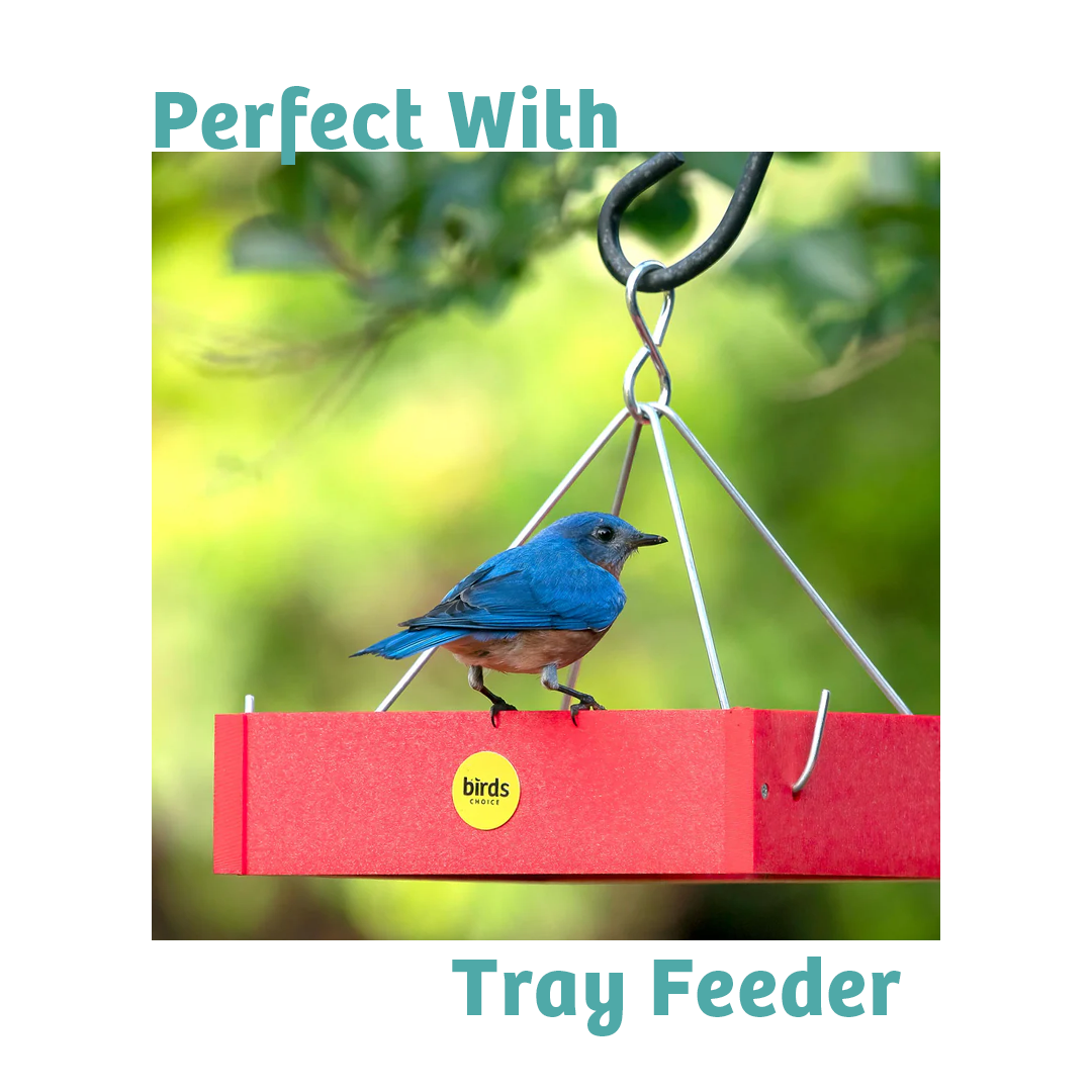 Finch Feast Wild Bird Food - 5 lbs.