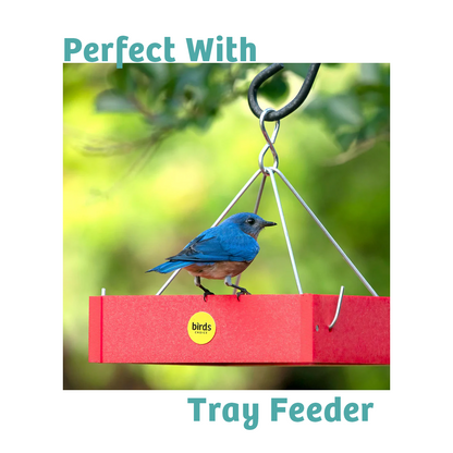 Finch Feast Wild Bird Food - 5 lbs.