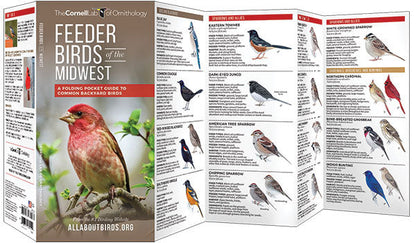 Feeder Birds Of The Midwest Pocket Guide