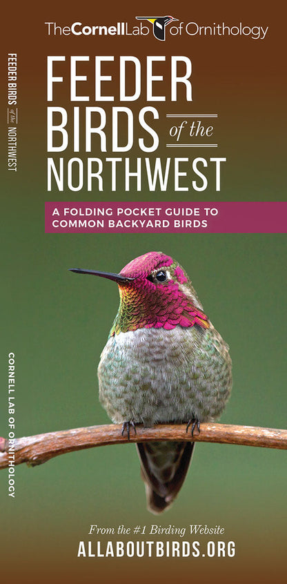 Feeder Birds Of The Northwest Pocket Guide