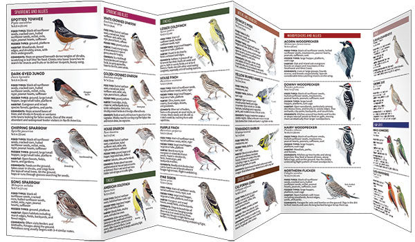 Feeder Birds Of The Northwest Pocket Guide