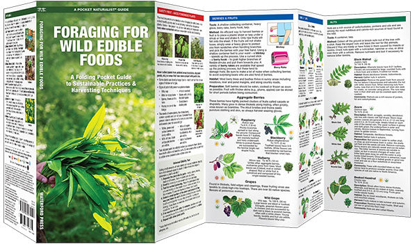 Foraging For Wild Edible Foods Pocket Guide