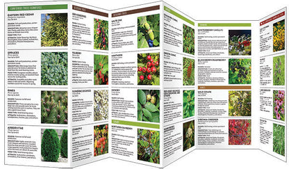 Gardening For Birds Pocket Guide