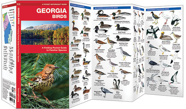 GEORGIA BIRDS