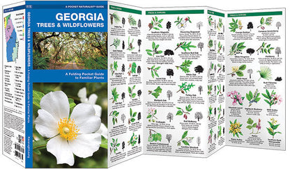 Georgia TREES & WILDFLOWERS