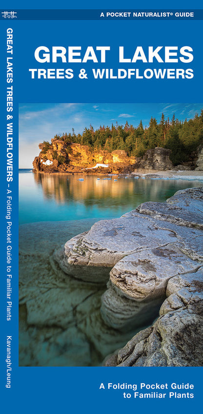 Great Lakes Trees & Wildflowers Pocket Guide