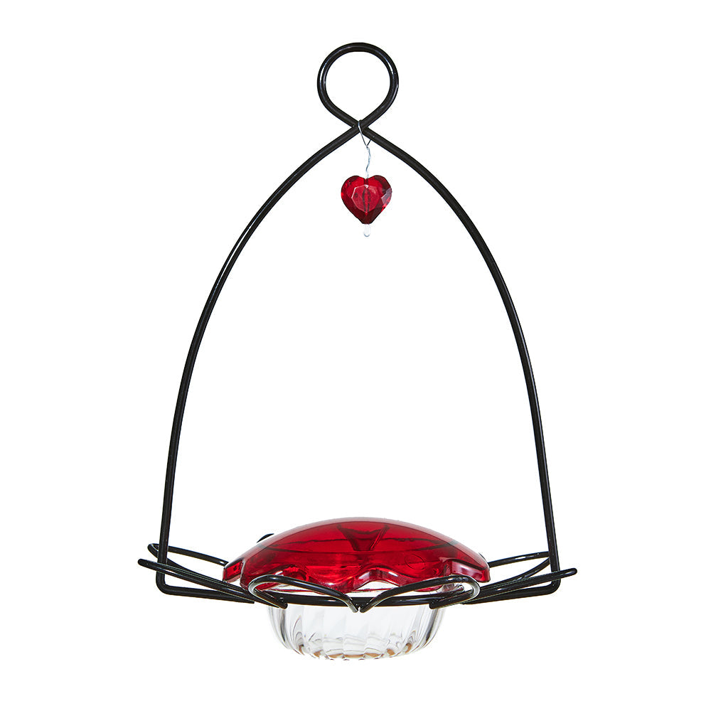 Hummingbird Feeder Flower Shape for Nectar - Birds Choice