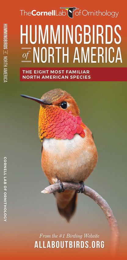 Hummingbirds Of North America Pocket Guide