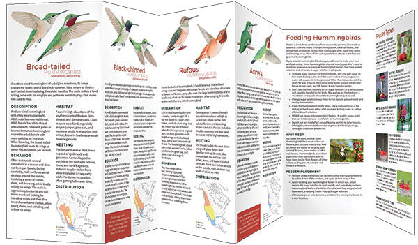 Hummingbirds Of North America Pocket Guide