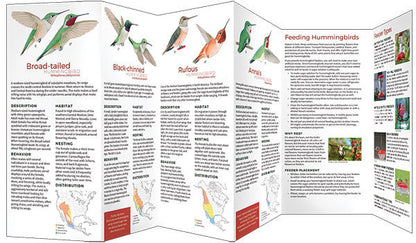 Hummingbirds Of North America Pocket Guide