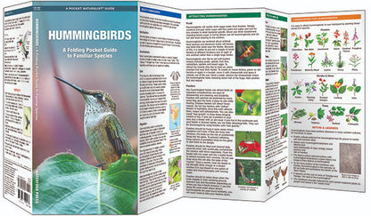 Hummingbirds Pocket Guide