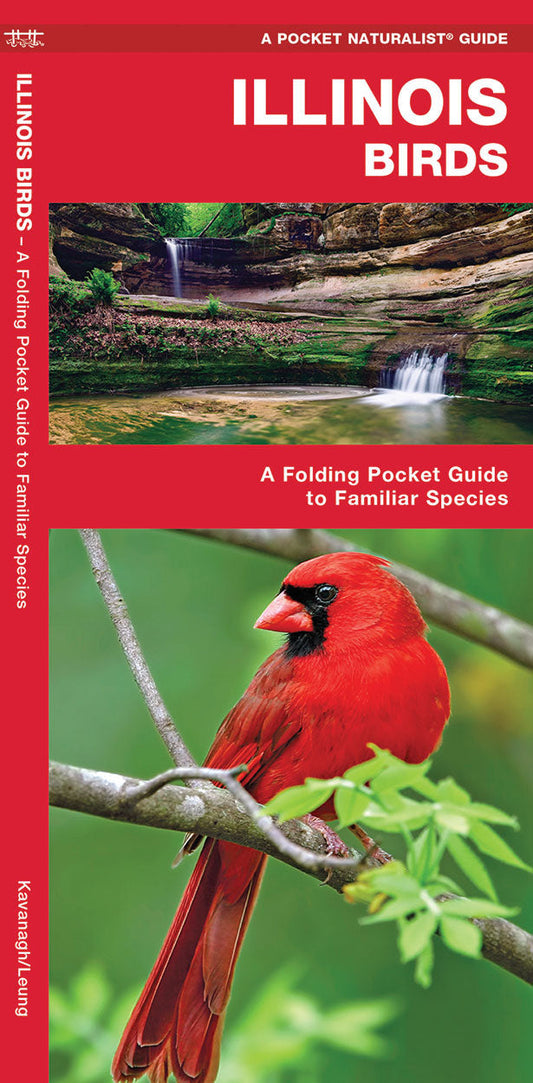 Illinois Birds Pocket Guide