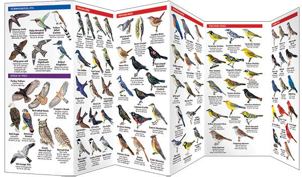 Illinois Birds Pocket Guide