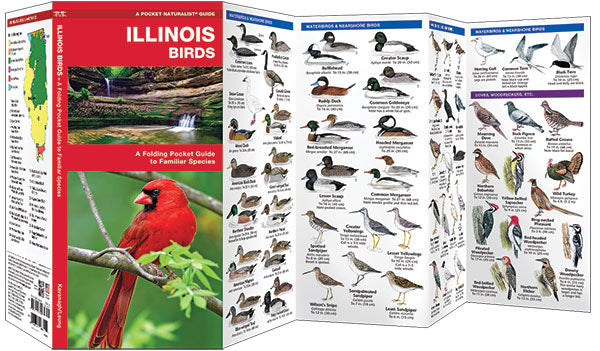 Illinois Birds Pocket Guide