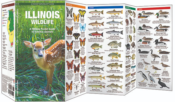 Illinois Wildlife Pocket Guide