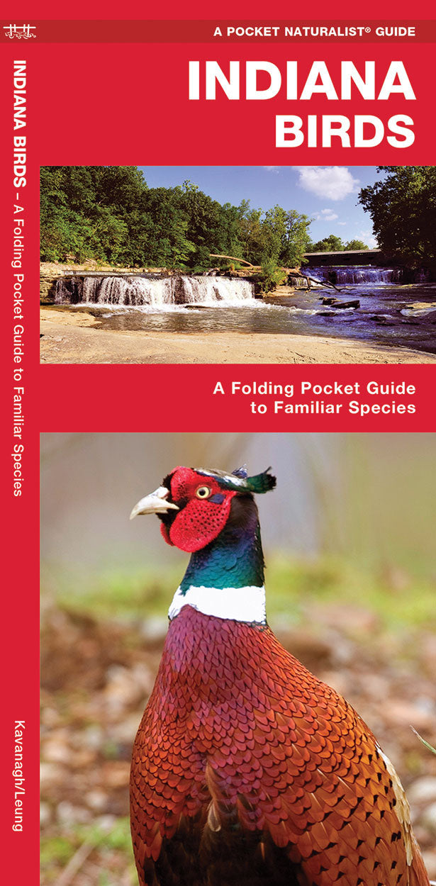 Indiana Birds Pocket Guide