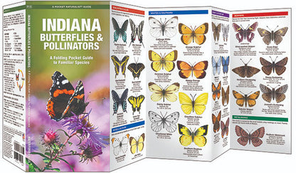 Indiana Butterflies & Pollinators Pocket Guide