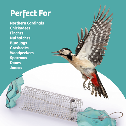 Blue Songbird Feeder