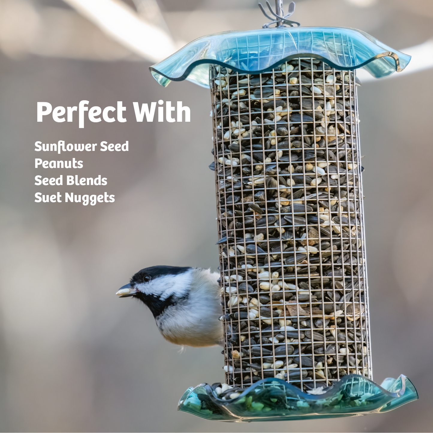 Blue Songbird Feeder