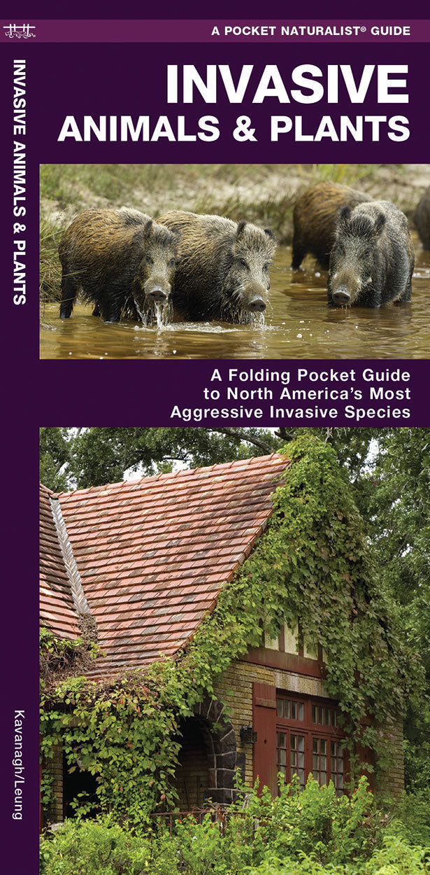 Invasive Animals & Plants Pocket Guide