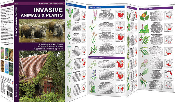 Invasive Animals & Plants Pocket Guide