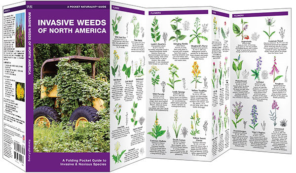 Invasive Weeds Of North America Pocket Guide