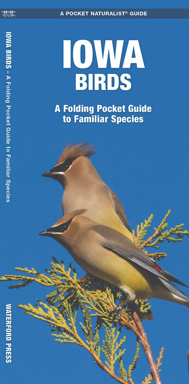 Iowa Birds Pocket Guide