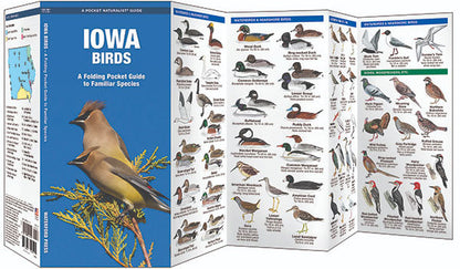 Iowa Birds Pocket Guide