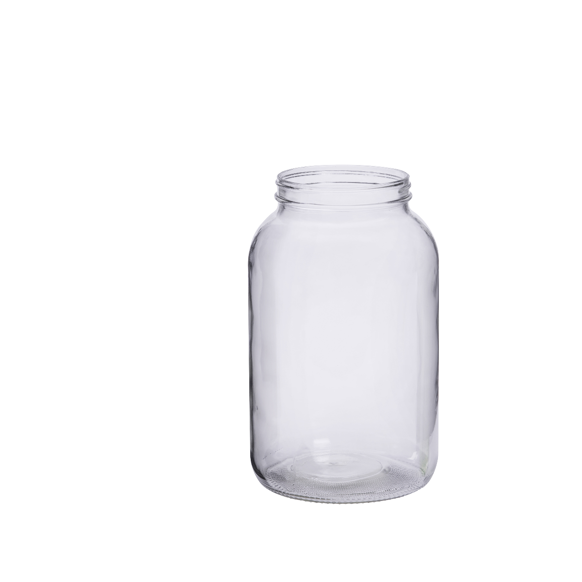 Replacement Jar for Birds Choice Squirrel Jar Feeder in Taupe and Green Recycled Plastic (SNSQJAR)