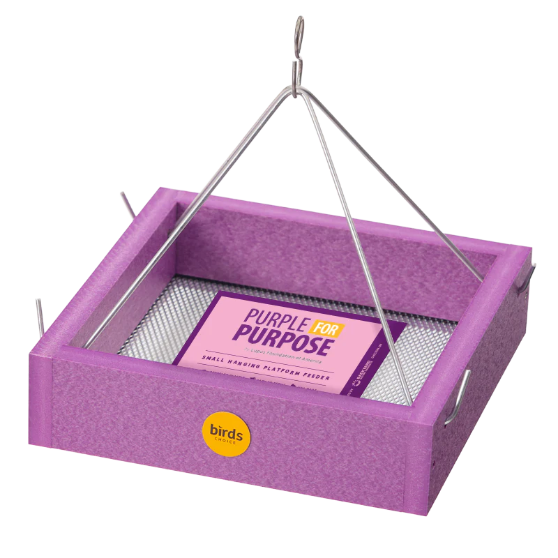 Lupus Foundation of America Small Hanging Tray Bird Feeder in Purple Recycled Plastic-Limited Edition