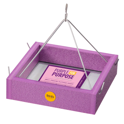 Lupus Foundation of America Small Hanging Tray Bird Feeder in Purple Recycled Plastic-Limited Edition