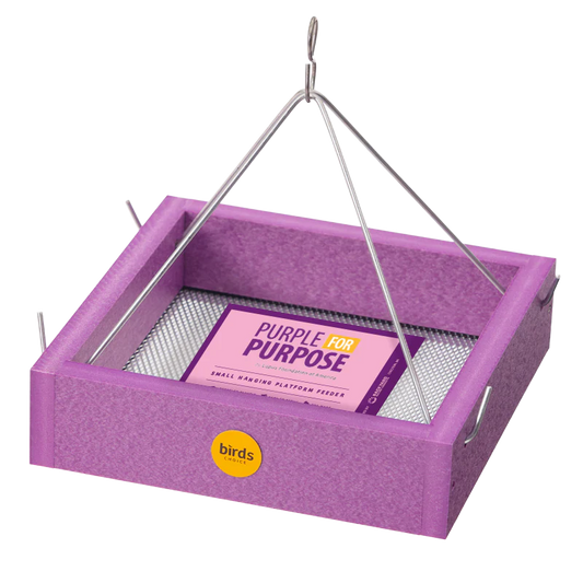 Lupus Foundation of America Small Hanging Tray Bird Feeder in Purple Recycled Plastic-Limited Edition