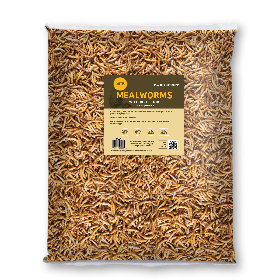 Mealworms - 5 lbs.