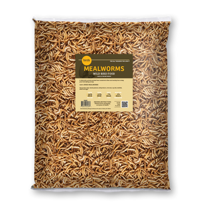 Mealworms - 5 lbs.