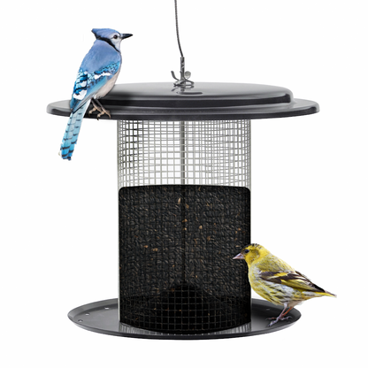 Modern Farmhouse Sunflower Seed Bird Feeder in Black and White